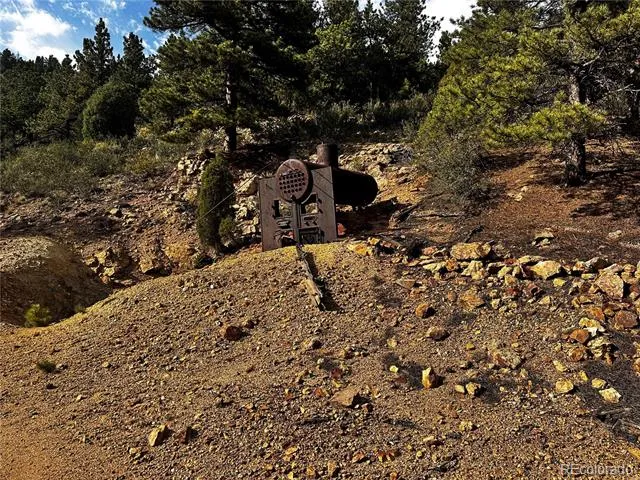 Lot 1 Eagle Mining Claim Dumont, CO 80436