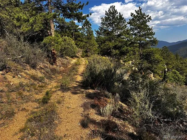 Lot 1 Eagle Mining Claim Dumont, CO 80436