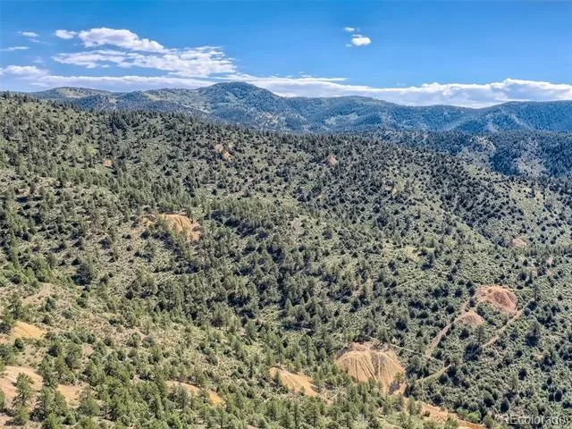 Lot 1 Eagle Mining Claim Dumont, CO 80436