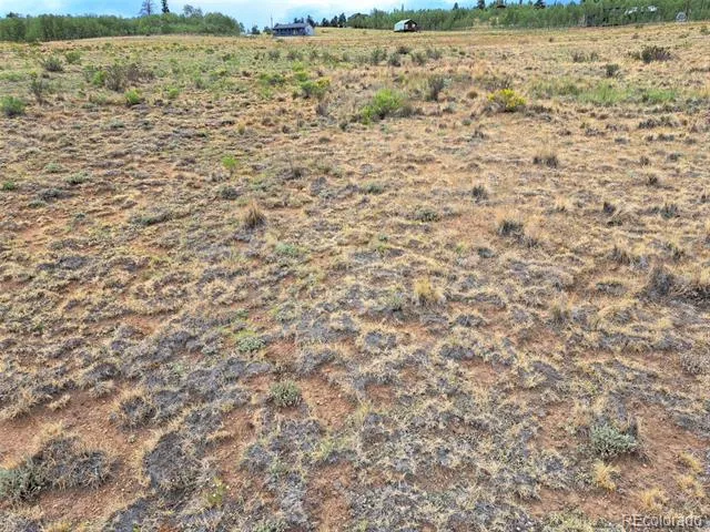 539 Mustang Trail Jefferson, CO 80456
