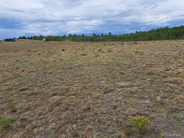 539 Mustang Trail Jefferson, CO 80456