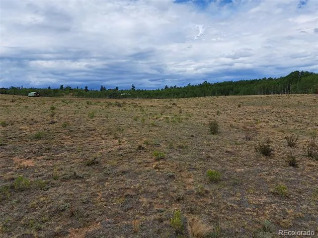 539 Mustang Trail Jefferson, CO 80456
