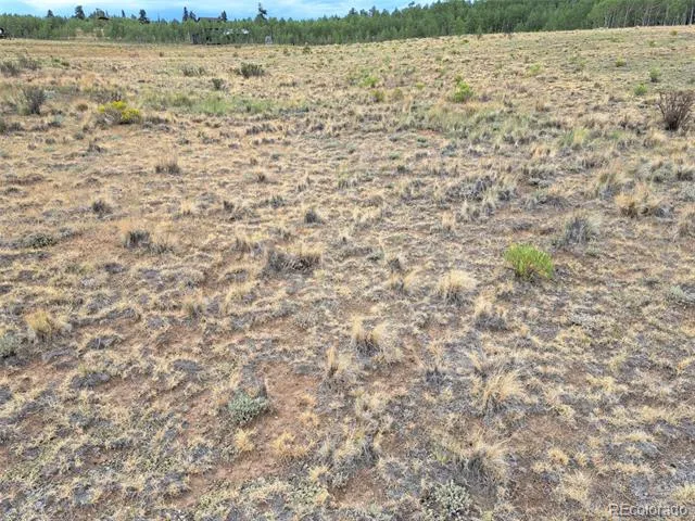 539 Mustang Trail Jefferson, CO 80456