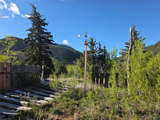 238 W Hanchett Road Empire, CO 80438