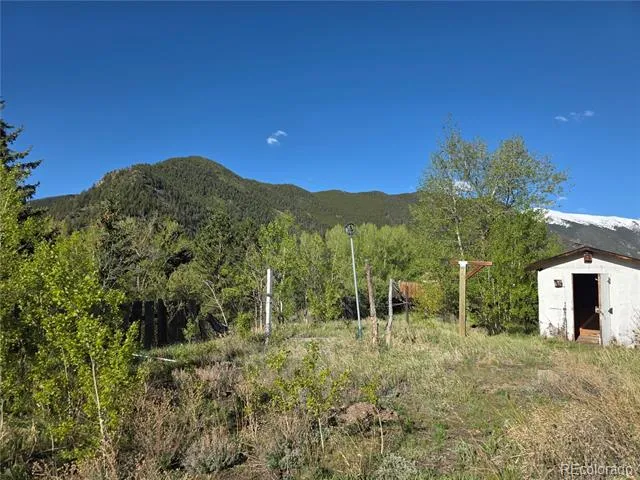 238 W Hanchett Road Empire, CO 80438