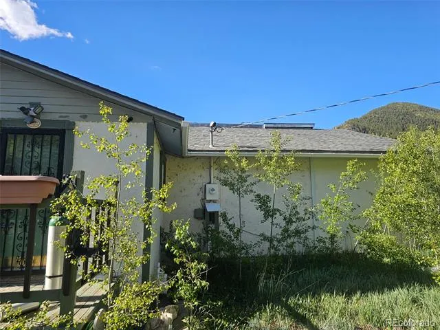 238 W Hanchett Road Empire, CO 80438