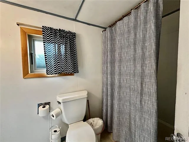 413 W 3rd Street Leadville, CO 80461
