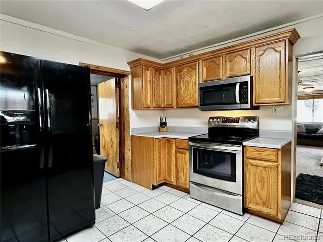 413 W 3rd Street Leadville, CO 80461
