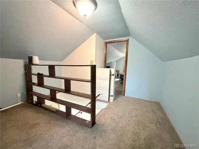 413 W 3rd Street Leadville, CO 80461
