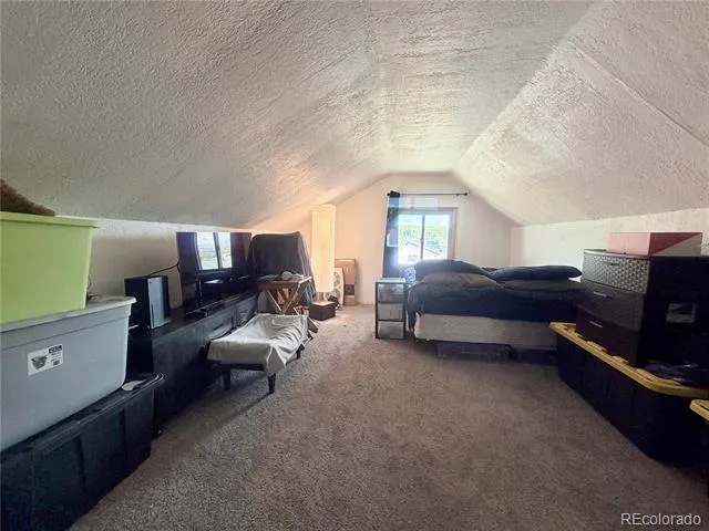 413 W 3rd Street Leadville, CO 80461