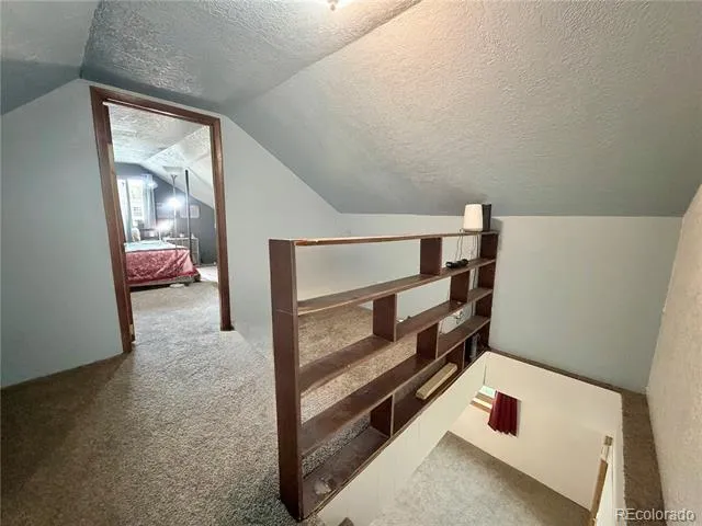 413 W 3rd Street Leadville, CO 80461