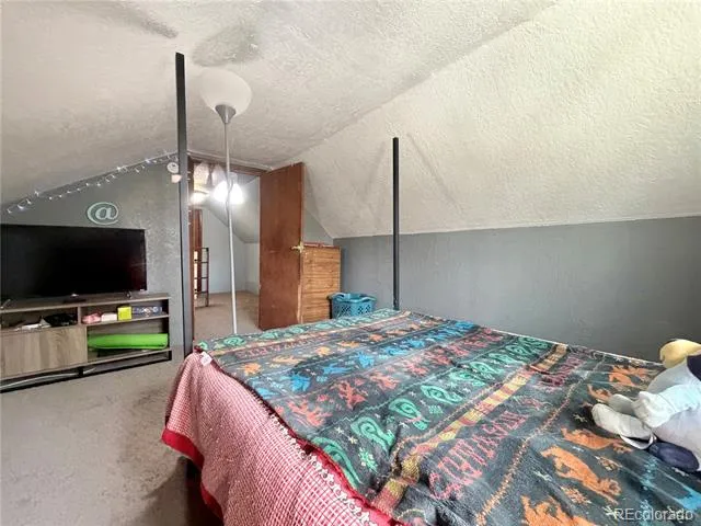 413 W 3rd Street Leadville, CO 80461