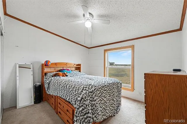 15925 Havana Way Brighton, CO 80602