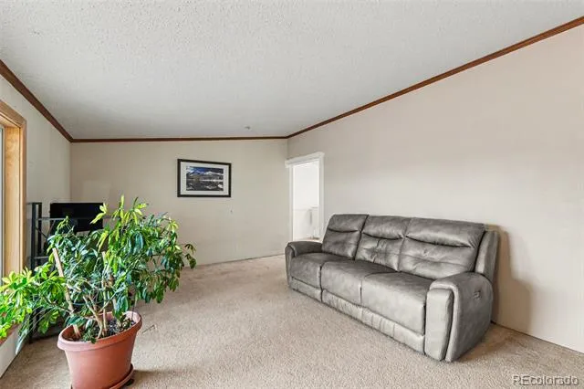 15925 Havana Way Brighton, CO 80602