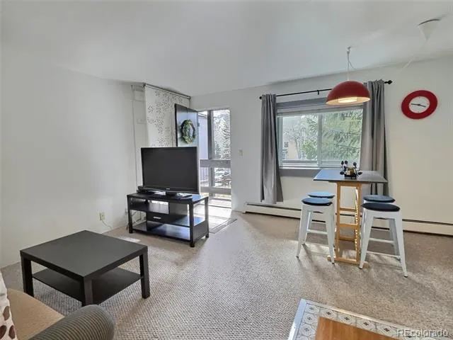 214 S Harris Street #209 Breckenridge, CO 80424