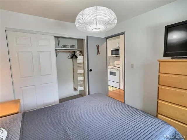 214 S Harris Street #209 Breckenridge, CO 80424