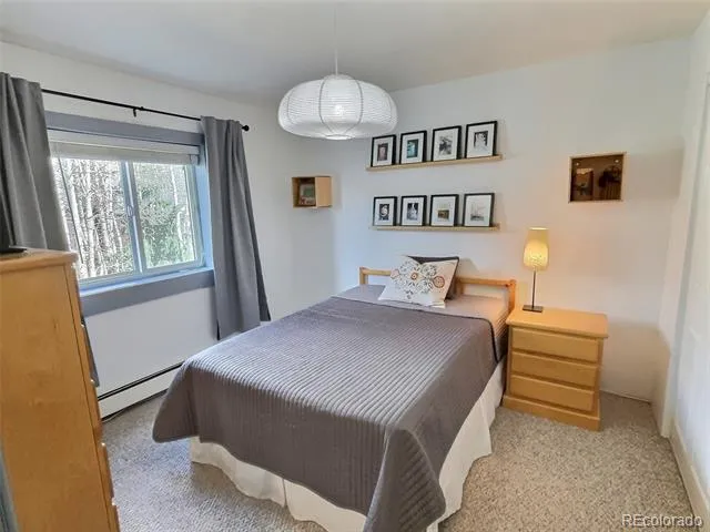214 S Harris Street #209 Breckenridge, CO 80424