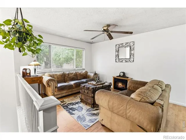 541 Sycamore Drive Windsor, CO 80550