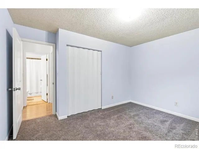 541 Sycamore Drive Windsor, CO 80550