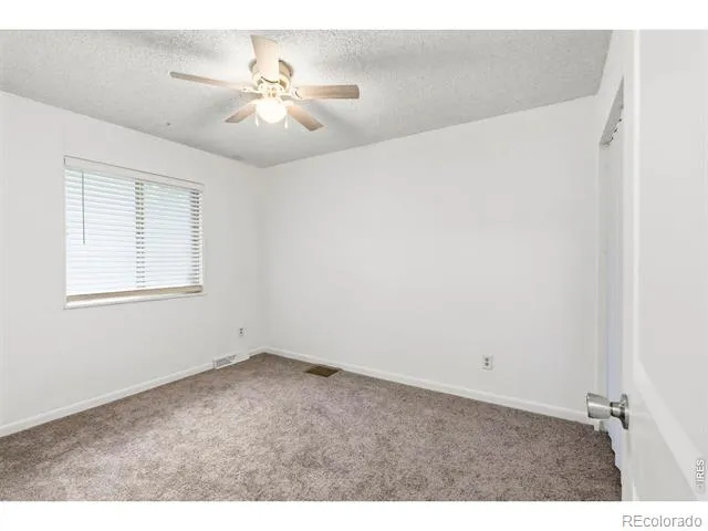 541 Sycamore Drive Windsor, CO 80550