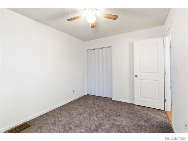 541 Sycamore Drive Windsor, CO 80550