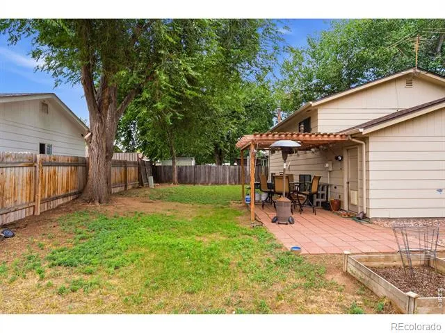 541 Sycamore Drive Windsor, CO 80550
