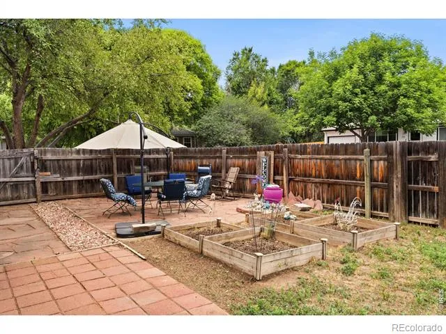 541 Sycamore Drive Windsor, CO 80550