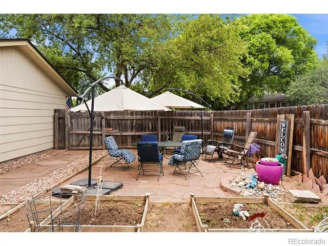 541 Sycamore Drive Windsor, CO 80550