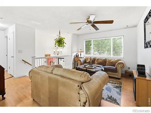 541 Sycamore Drive Windsor, CO 80550