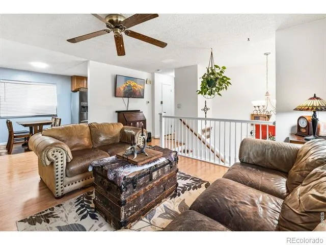 541 Sycamore Drive Windsor, CO 80550