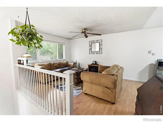 541 Sycamore Drive Windsor, CO 80550