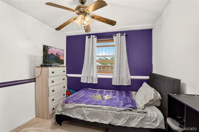 4684 Chandler Court Denver, CO 80239