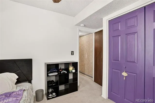 4684 Chandler Court Denver, CO 80239