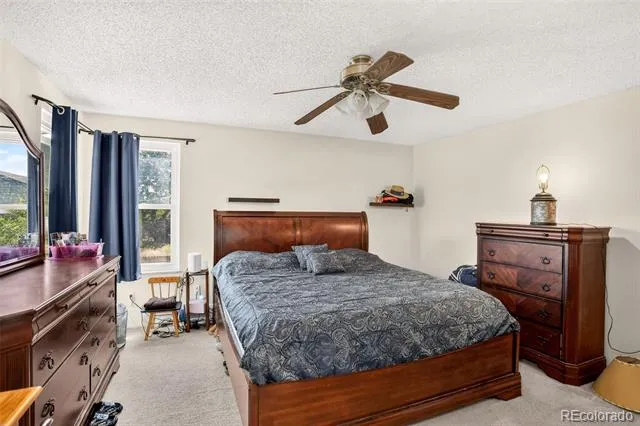 4684 Chandler Court Denver, CO 80239