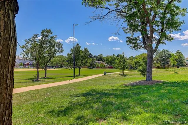 4684 Chandler Court Denver, CO 80239
