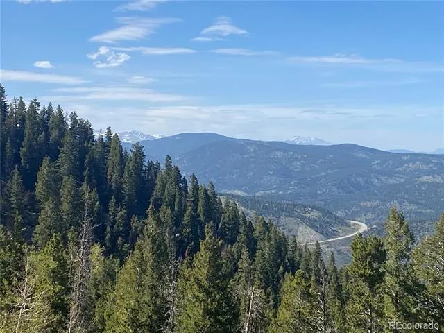 1695 Packsaddle Trail Evergreen, CO 80439