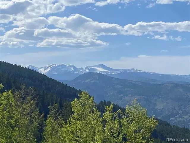 1695 Packsaddle Trail Evergreen, CO 80439