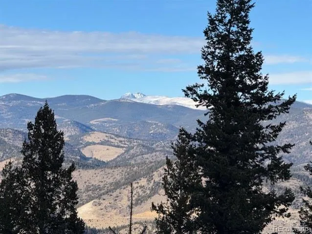 1695 Packsaddle Trail Evergreen, CO 80439