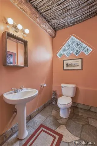 5910 County Road 10 Twin Lakes, CO 81251