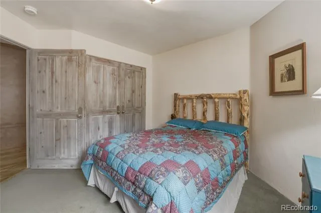 5910 County Road 10 Twin Lakes, CO 81251