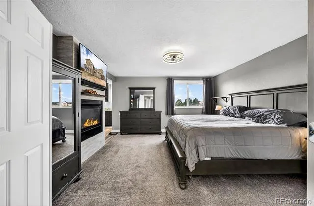 10755 Arrowgrass Loop Peyton, CO 80831