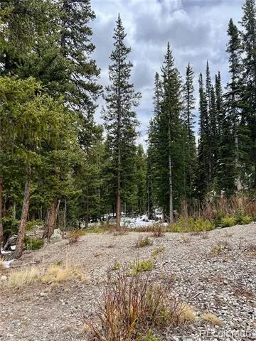 897 Gold Pan Lane Fairplay, CO 80440