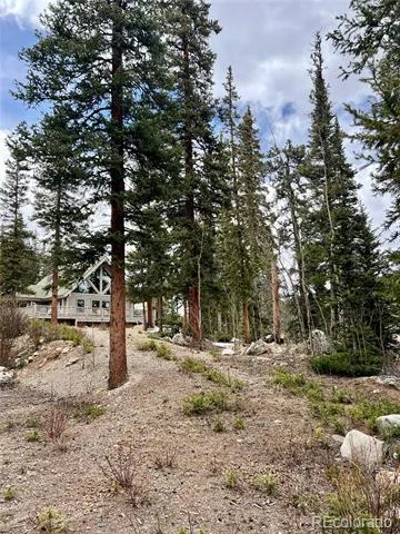 897 Gold Pan Lane Fairplay, CO 80440