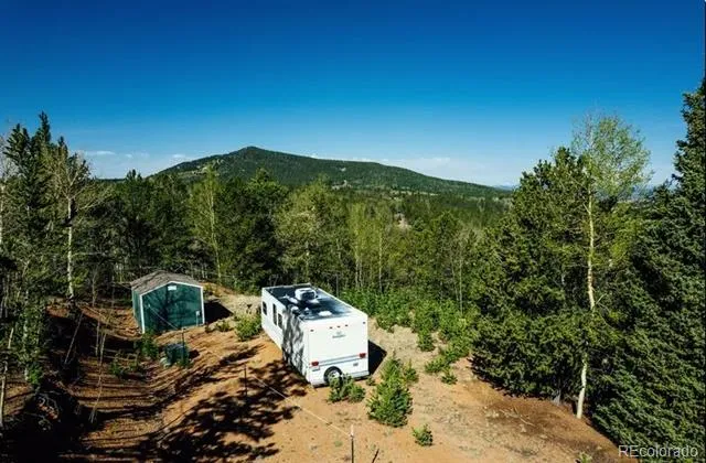 977 County Road 61 Divide, CO 80814
