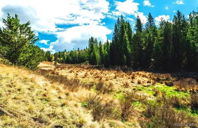 977 County Road 61 Divide, CO 80814