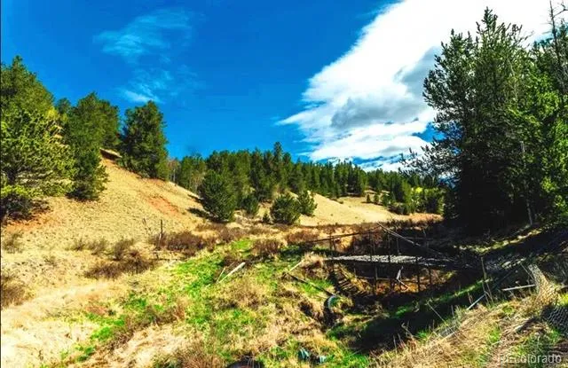 977 County Road 61 Divide, CO 80814