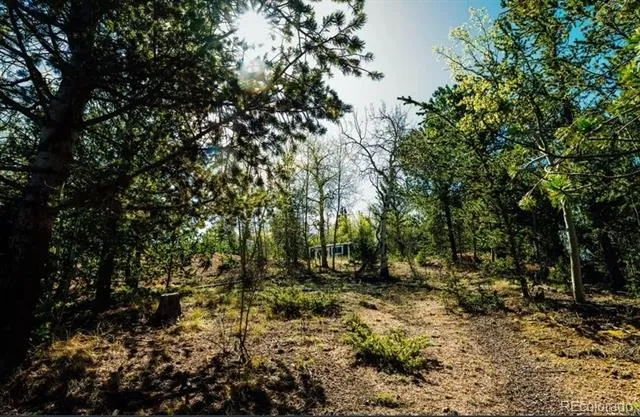 977 County Road 61 Divide, CO 80814