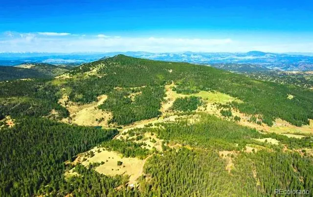 977 County Road 61 Divide, CO 80814