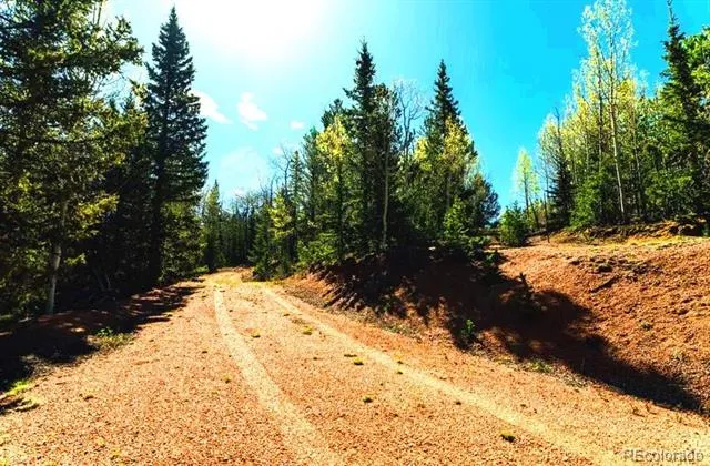 977 County Road 61 Divide, CO 80814