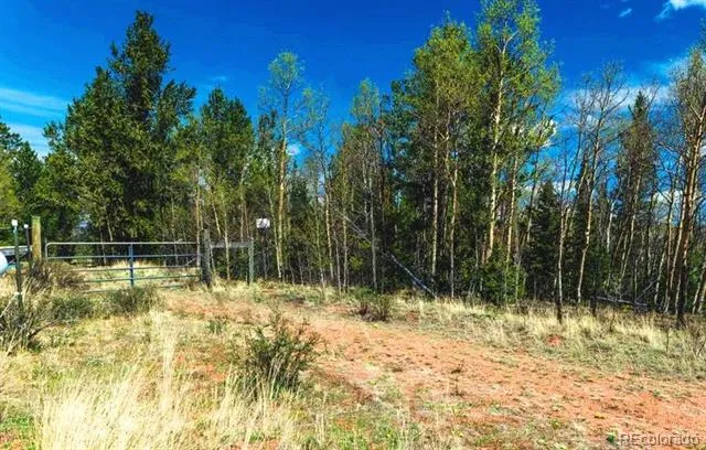 977 County Road 61 Divide, CO 80814